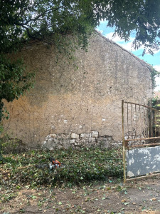 Photo de galerie - Taille de haies et d'arbustes