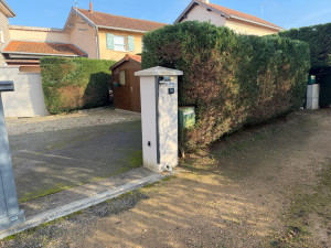 Photo de galerie - Taille haie