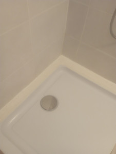 Photo de galerie - Carrelage et joints douche