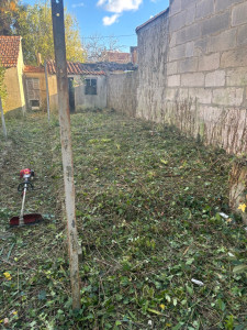 Photo de galerie - Tonte de pelouse - Débroussaillage