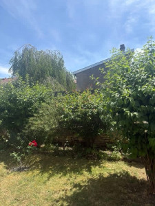 Photo de galerie - Tonte de jardin 