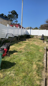 Photo de galerie - Tonte de pelouse - Débroussaillage