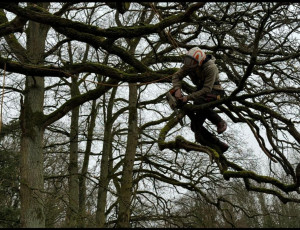 Photo de galerie - Elagage et coupe d'arbres
