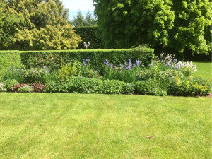 Photo de galerie - Tonte débroussaillage et entretien massifs 