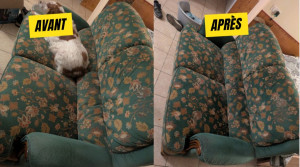 Photo de galerie - Ménage