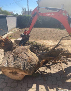 Photo de galerie - .