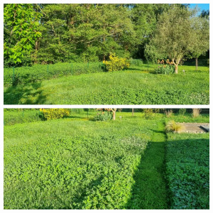 Photo de galerie -  remise en état d'un petit jardin. Photo avant.