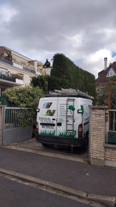 Photo de galerie - Taille et débarrassage végétaux 