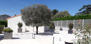 Photo de galerie - Paysagiste - Aménagement du jardin