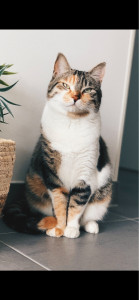 Photo de galerie - La belle Lola