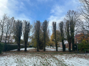 Photo de galerie - Taille 