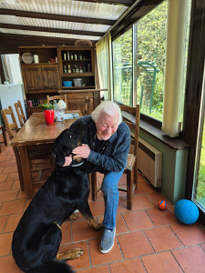 Photo de galerie - Garde chien