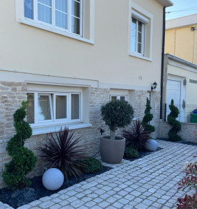 Photo de galerie - Taille de haies et d'arbustes