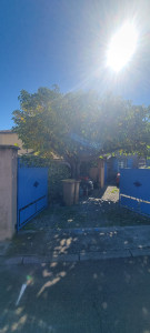 Photo de galerie - Elagage et coupe d'arbres