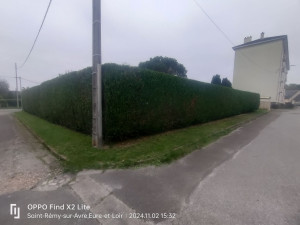 Photo de galerie - Taille de haies et d'arbustes