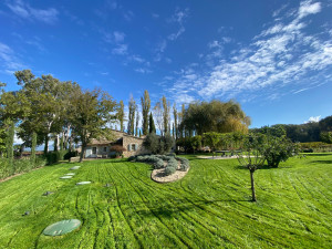 Photo de galerie - Entretien tonte, taille,