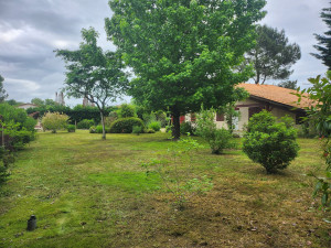 Photo de galerie - Après tonte et débroussailleuse 