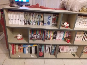 Photo de galerie - Montage meubles en kit