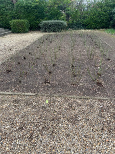 Photo de galerie - Jardinier