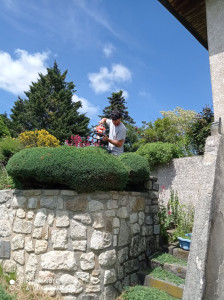 Photo de galerie - Taille d’une rocaille 