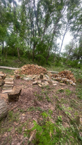 Photo de galerie - Ouverture et entretien dans une forêt 