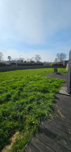 Photo de galerie - Tonte de pelouse - Débroussaillage