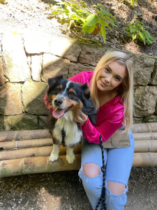 Photo de galerie - Garde de chien