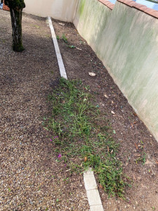 Photo de galerie - Après abattage de la haie 