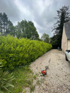 Photo de galerie - Avant taille