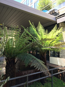 Photo de galerie - Paysagiste - Aménagement du jardin