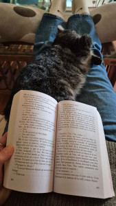 Photo de galerie - Voici Ruby, qui adore se poser sur mes jambes pendant que je lis 