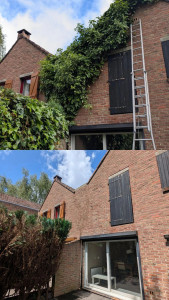 Photo de galerie - Retrait lierre sur façade maison