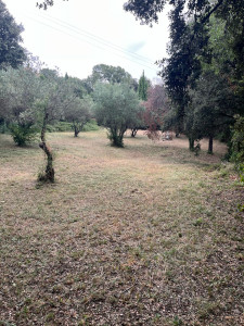 Photo de galerie - Nettoyage terre agricole 