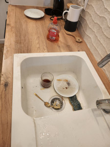 Photo de galerie - Ménage