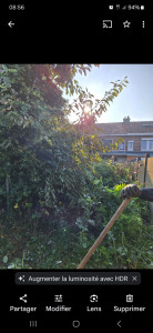 Photo de galerie - Nettoyage de terrain 