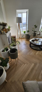 Photo de galerie - Pose de parquet - Revêtement de sol