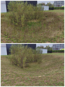 Photo de galerie - Fauchage d'un faussé dans un terrain 