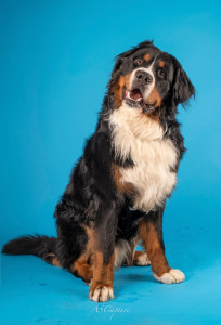 Photo de galerie - Ucky 1 an