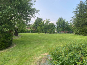 Photo de galerie - Tonte avec finition au niveau des bordures 