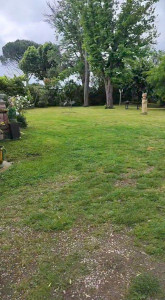 Photo de galerie - Tonte mulching à 4mm 