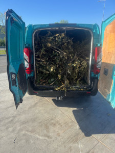 Photo de galerie - ça sent le printemps 