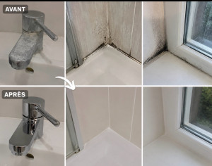 Photo de galerie - Nettoyage  salle de bain 