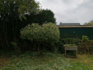 Photo de galerie - Après 