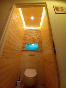 Photo de galerie - Rénovation complète de WC 

