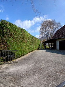 Photo de galerie - 19 / 20 Avril 2026
Taille d'un Thuya de 3 mètres de haut, 30 mètres de long et Jusqu’à 2,50 mètres de largueur