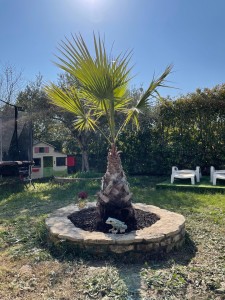 Photo de galerie - Jardinier