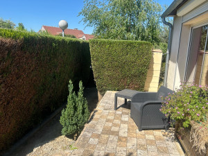 Photo de galerie - Taille de haies et d'arbustes