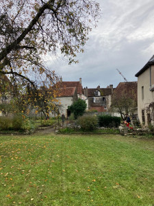 Photo de galerie - Tonte 