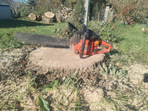 Photo de galerie - Abattage arbres 