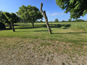 Photo de galerie - Tonte de pelouse 